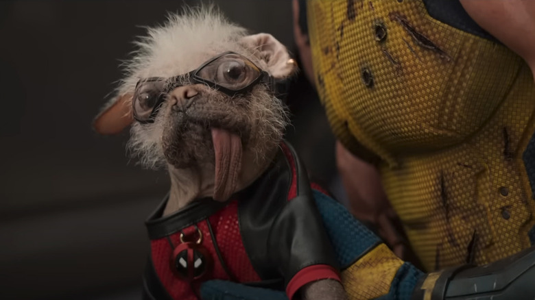 Dogpool in Deadpool & Wolverine