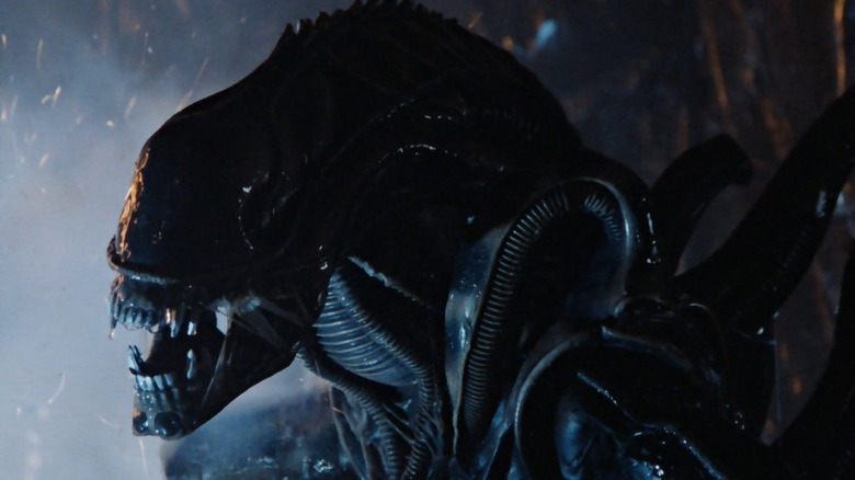 A xenomorph in Aliens