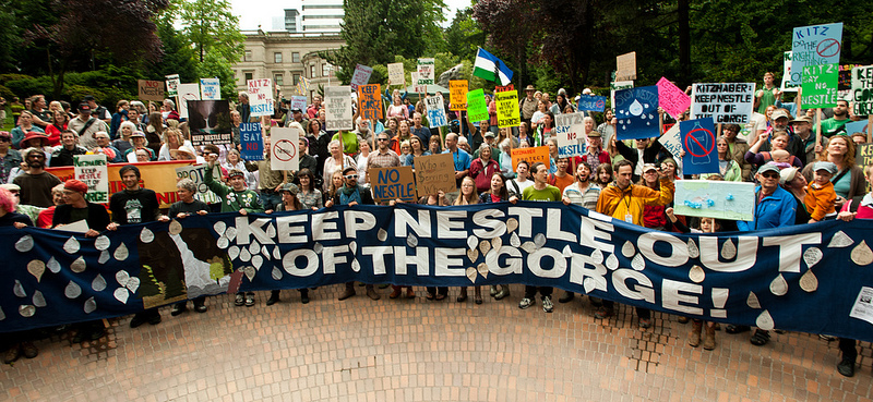 A demonstration with a large banner reading "Keep Nestlé Out of the Gorge!"