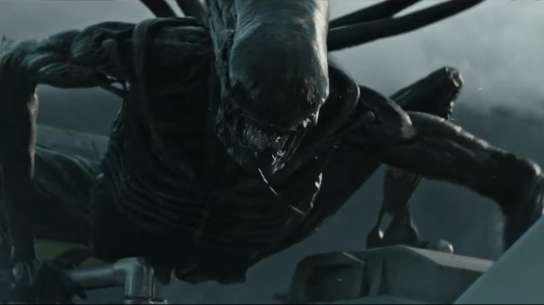 The xenomorph of all of our nightmares