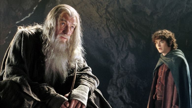 Ian McKellen as Gandalf and Elijah Wood as Frodo in The Lord of the Rings: The Fellowship of the Ring